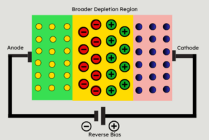 Understanding Photodiodes: Operation, Bias, Arrays, and Circuits ...